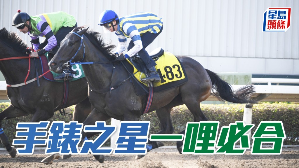 「手錶之星」同母兄長有兩駒曾勝千六，估計加程應該合適，當有一爭之力。