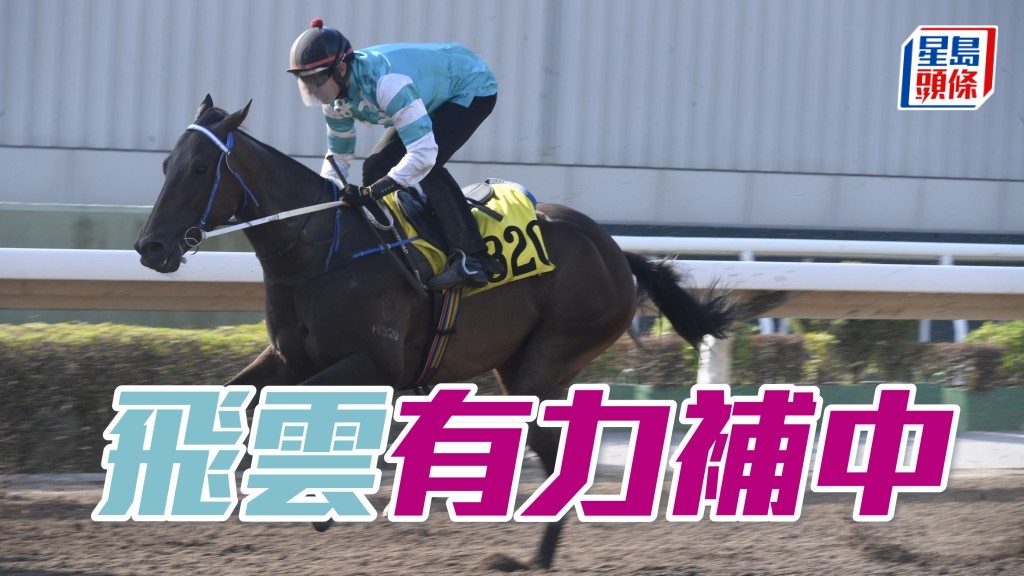 「飛雲」上場季內初出跑谷草千二米，配布文跑第三名，人馬再戰有力補中。