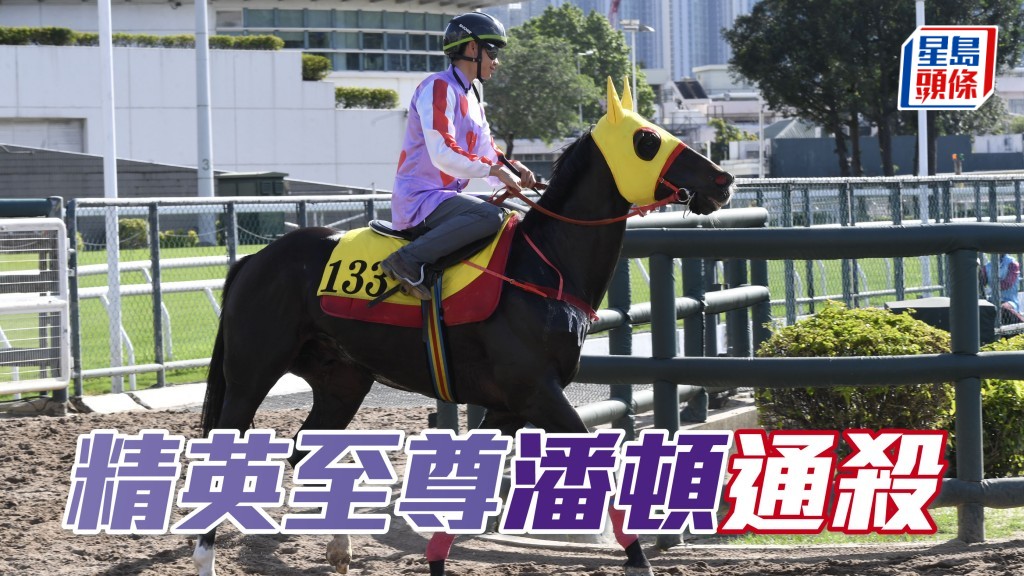 「精英至尊」今次覓得潘頓執韁，有望補中。