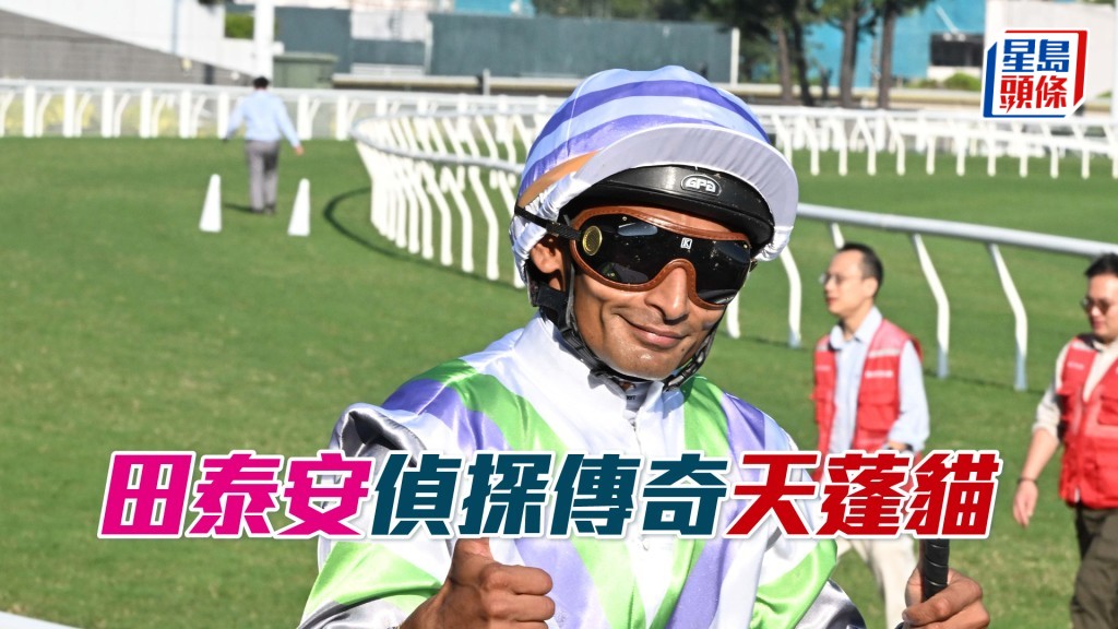 田泰安明日沙田賽事共有八匹坐騎。