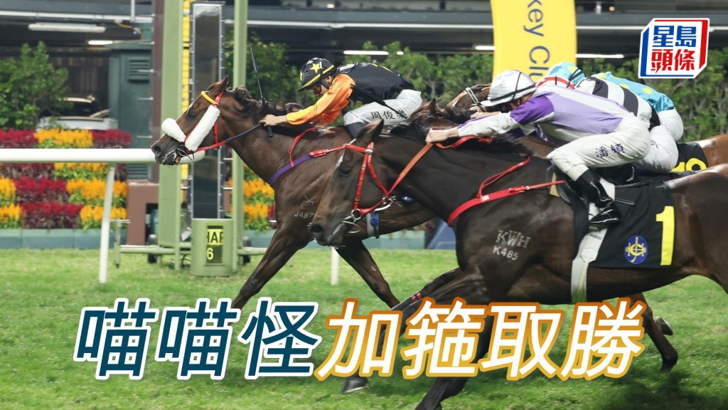 「喵喵怪」加箍取勝