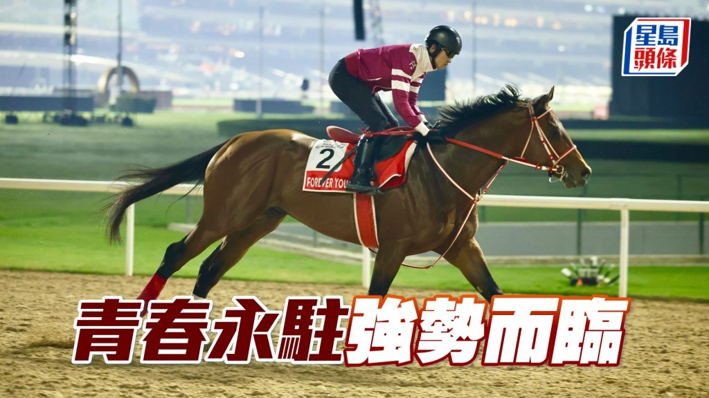「青春永駐」將出戰本月十四日在安都拉茲馬場舉行沙特盃。