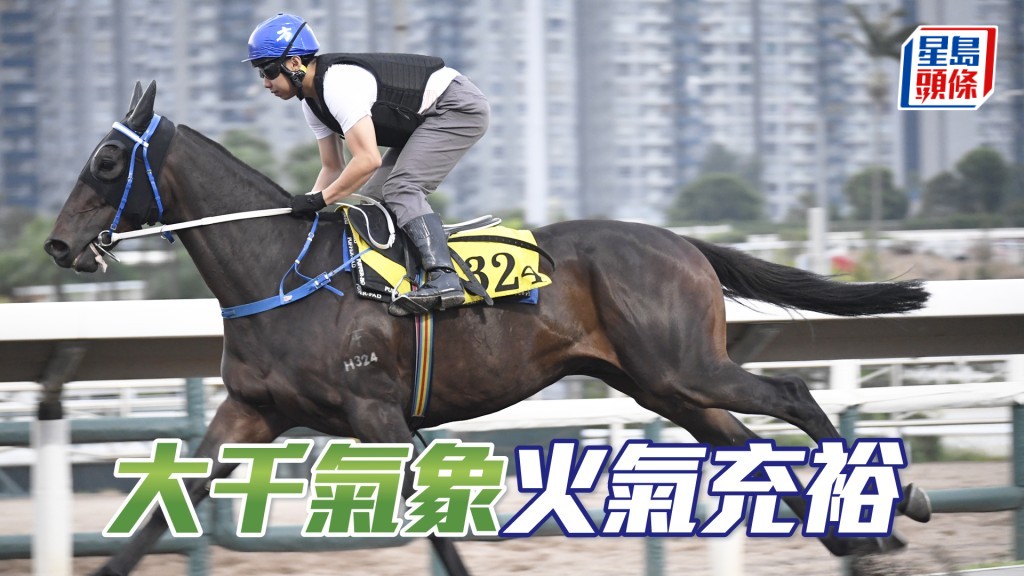 「大千氣象」火氣充裕，確認去番最佳時候。