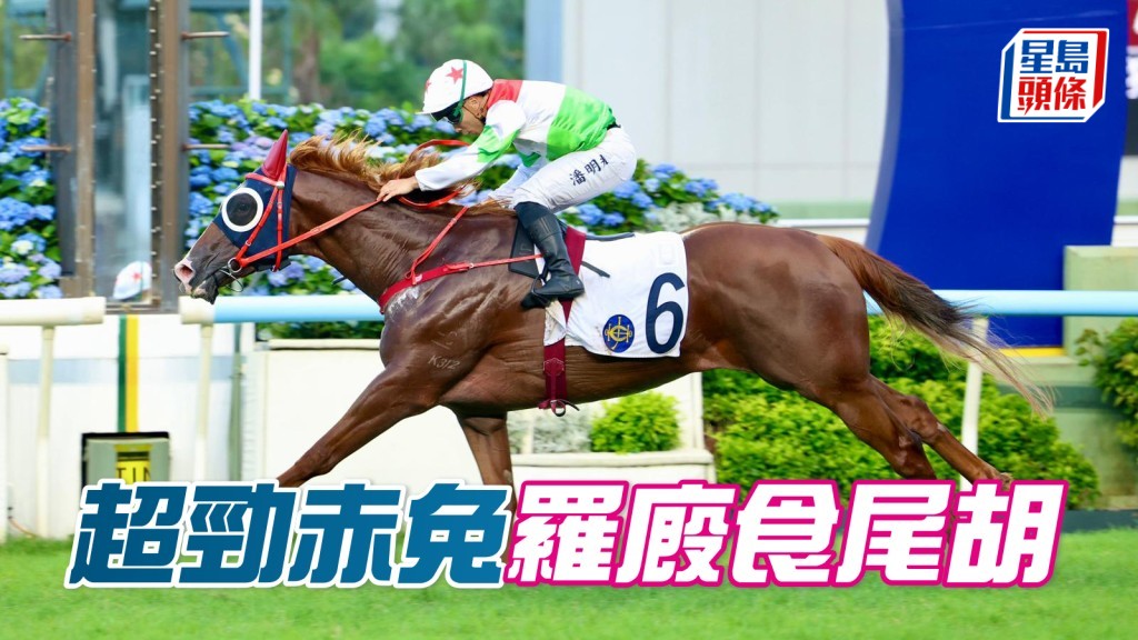 「超勁赤兔」羅廄食尾胡