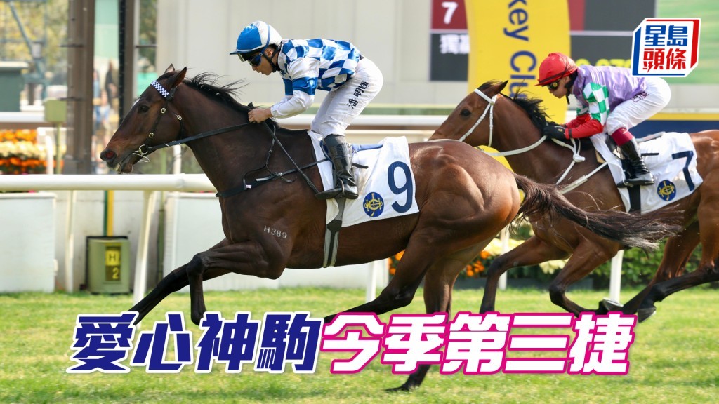 「愛心神駒」今季第三捷