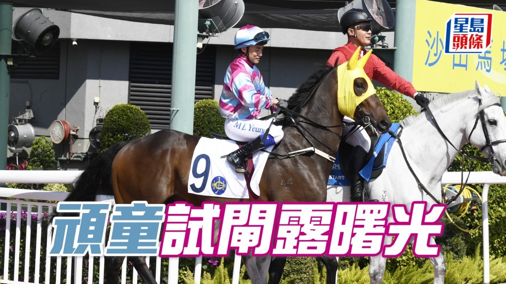 「顽童」九月初试大闸一放而回兼大胜，四岁马进步未止可开胜门。