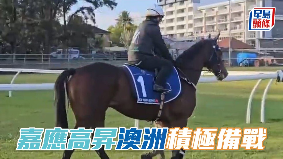 「嘉應高昇」在操練時表現精神奕奕，相信香港馬迷都為這匹香港馬王打氣，祝福馬兒能在澳洲爭取好成績。