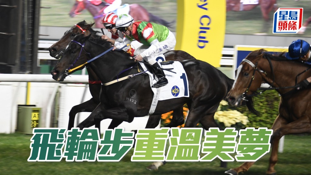 「飛輪步」對上一場頭馬，在去年十二月二十九日尾場賽事取得。