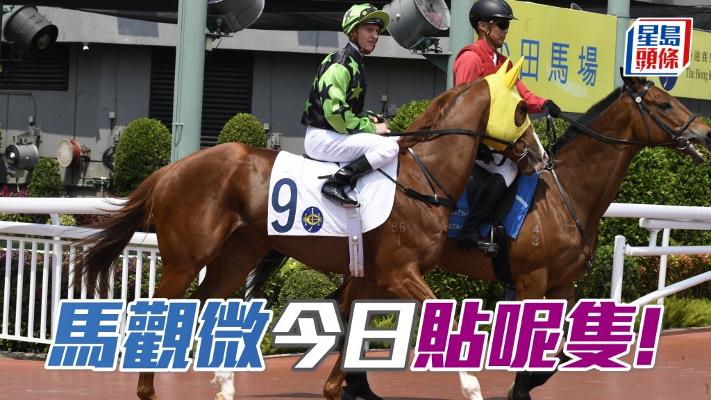 「贤者威枫」布置好