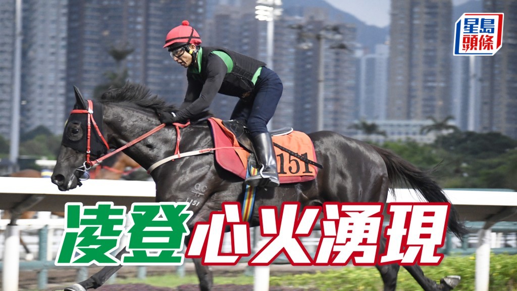 「凌登」步挺力勁身又夠壯，更勝贏馬時候。
