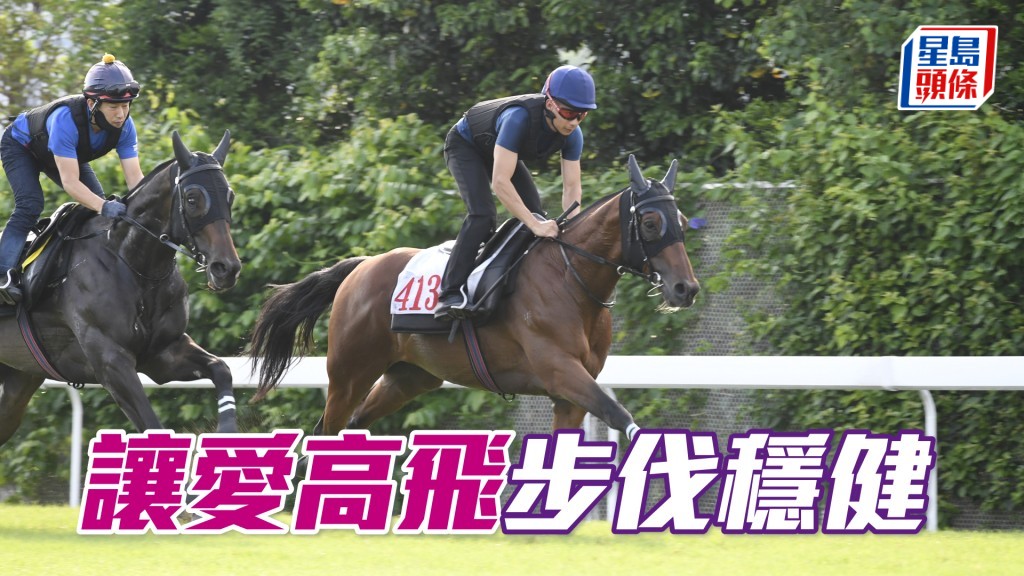  「讓愛高飛」火氣比前時好得多，回復最佳時候。