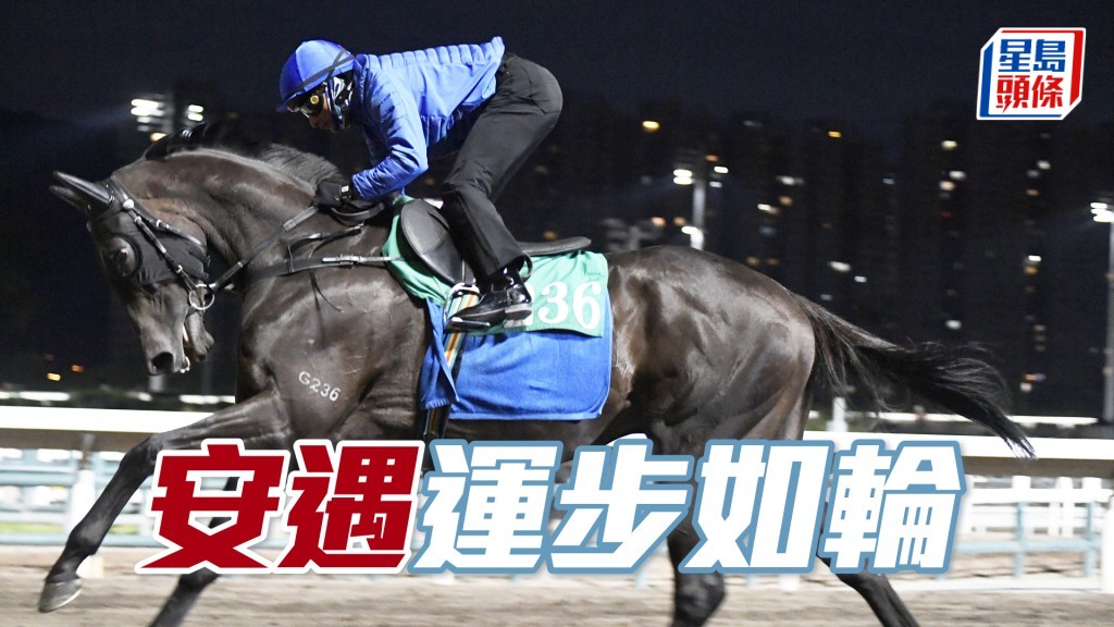 「安遇」力度充足暗火涌现，抖够操足蓄势待发。