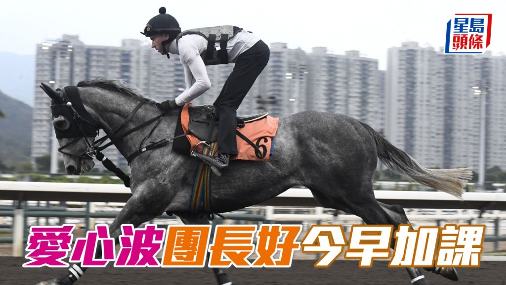 「爱心波」(图) 及「团长好」今早加课，明晚一战两驹均值得留意。