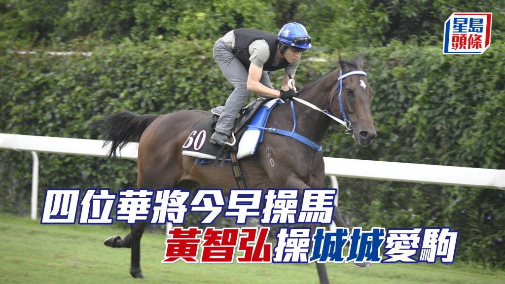 「舞林寶典」