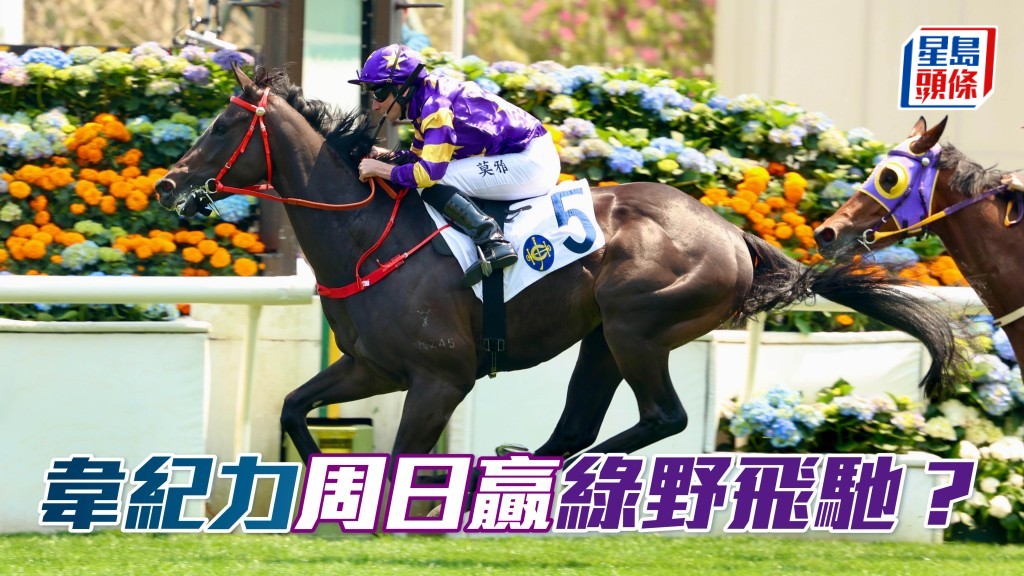 「綠野飛馳」(圖) 今場帥權落入韋紀力手中,或有力為馬主榮智健贏馬補中。
