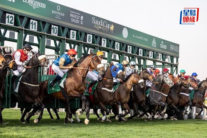 贏跑台直播沙特盃