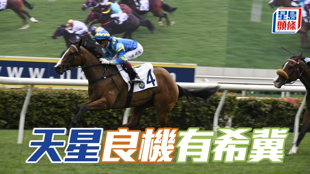 今仗是休息三周半後再戰同程，強手已去，「天星」(圖) 必須把握黃金機會爭取再入凱旋門。