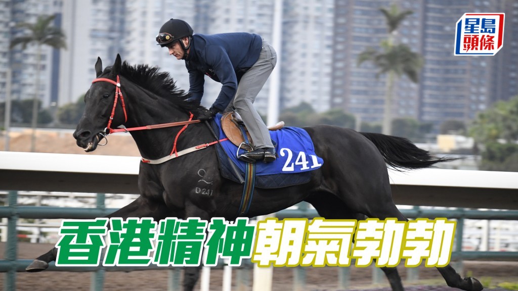 「香港精神」步挺貫注力足，馬身札實毛色靚。