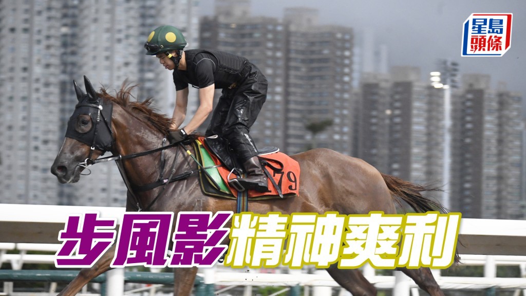 「步風影」步順輕快彈力十足，馬身壯健現線條。
