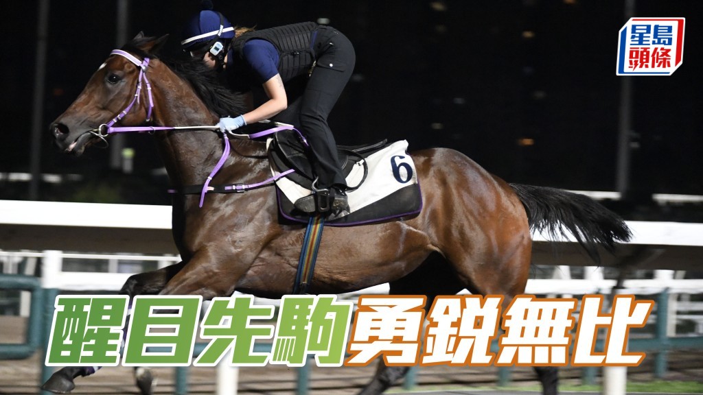 「醒目先駒」助手踱一圈，全程擔高頭走相當神氣，步順力雄火氣充裕，馬身更靚更結實，勇銳無比。