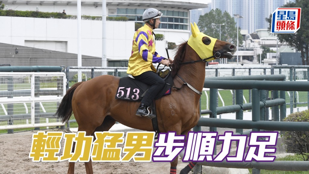 「轻功猛男」马身壮得很，持续态勇未见走样。