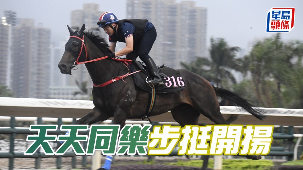 「天天同樂」走勢硬朗神態活潑，操足勇況已備。