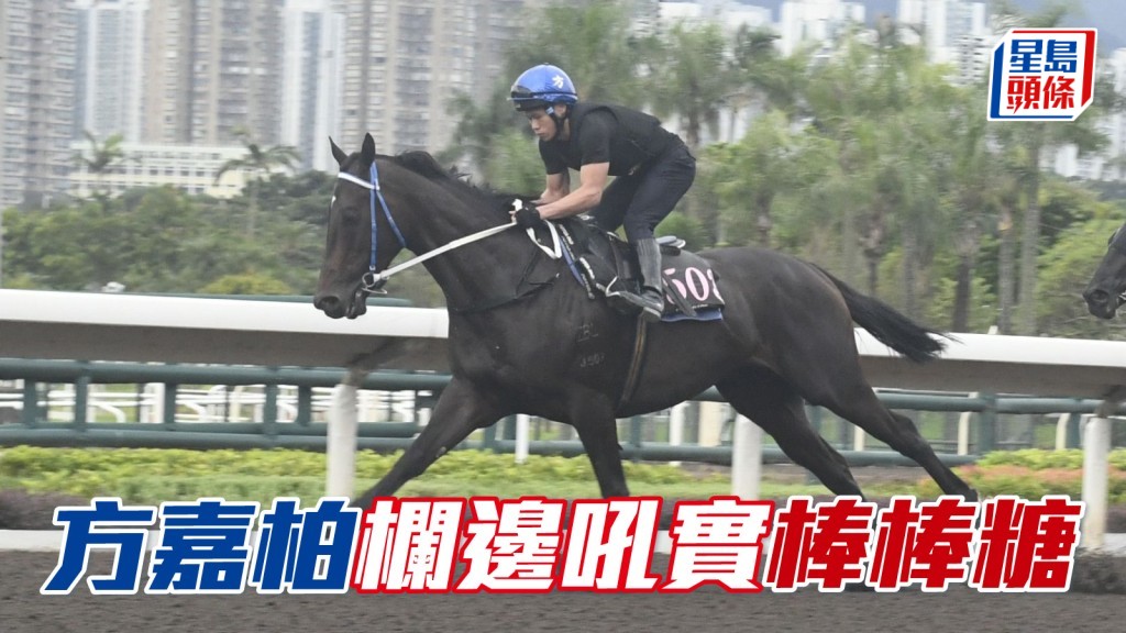 方嘉柏欄邊吼實「棒棒糖」