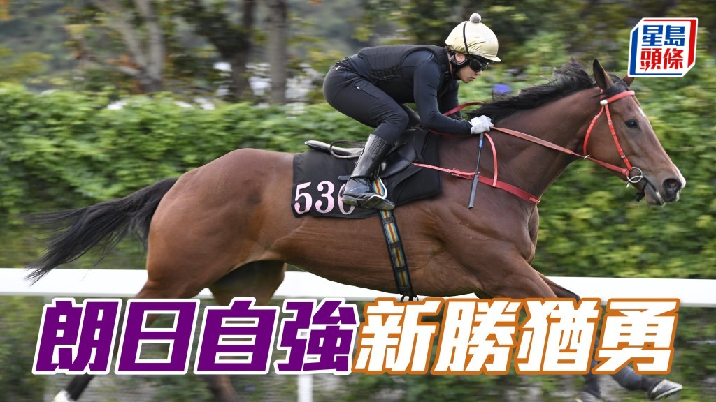 「朗日自強」助手踱一圈，大大步走過，步挺爽勁彈力不俗，雙目有神毛色又靚，新勝猶勇持續見好。