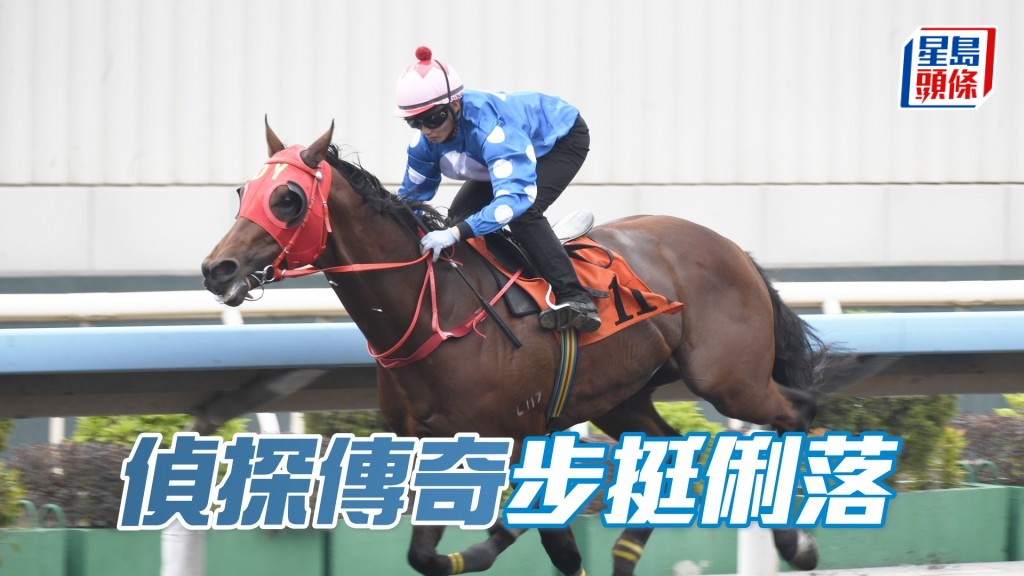 「侦探传奇」细马身粗壮，进度理想。