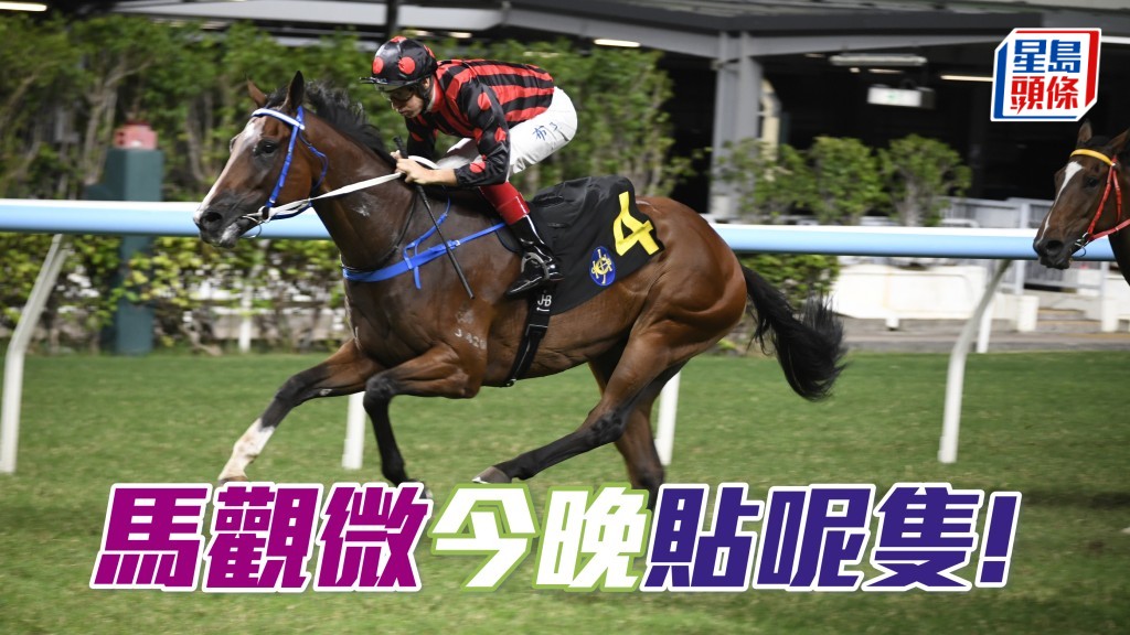 「相映紅」優而雅之