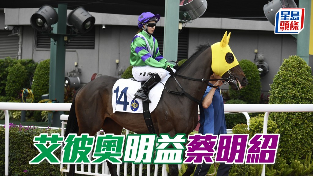 「艾彼奧」排一檔或有利可圖，隨時可爆。