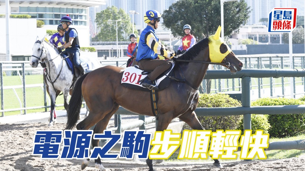 「電源之駒」馬身札實毛色唔淡，神態回旺復勇八九。