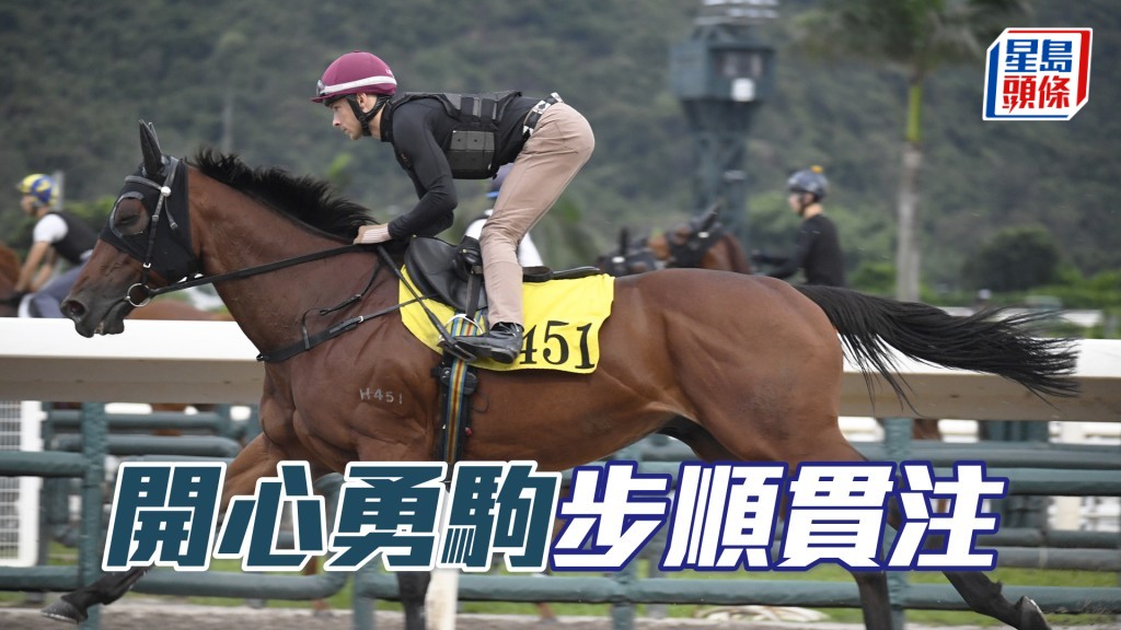 「开心勇驹」马身收靓好实净，神态对办观感不俗。