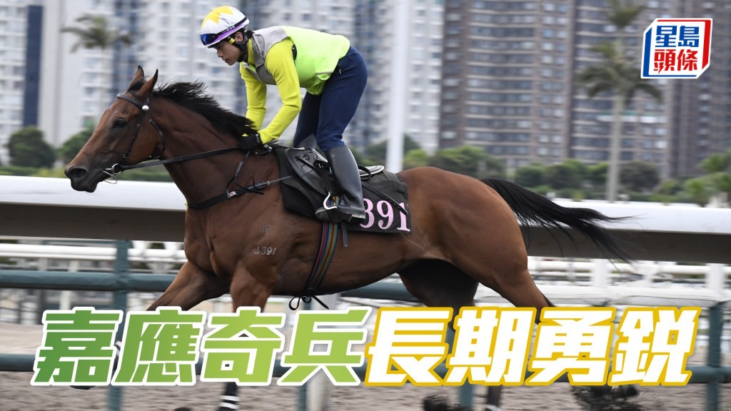 晨光追擊│「嘉應奇兵」長期勇銳