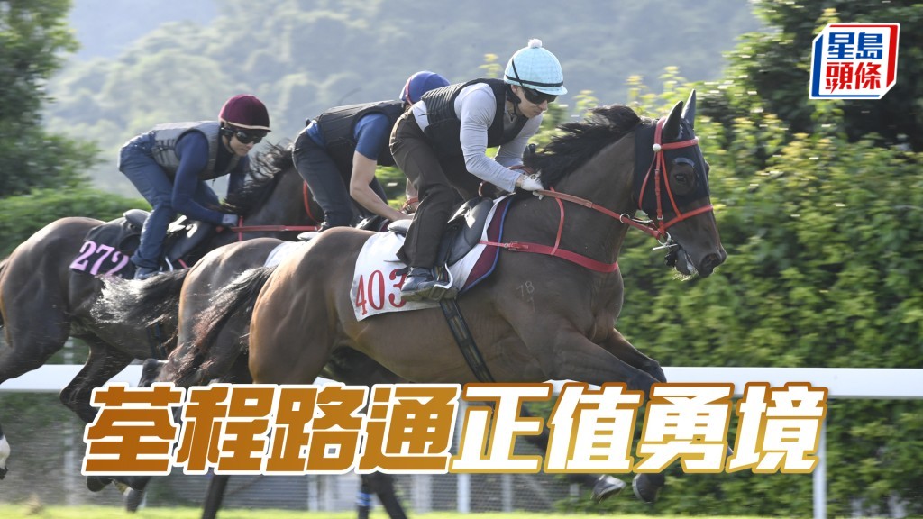 「荃程路通」火力未減馬身仍壯，神態甚活潑。