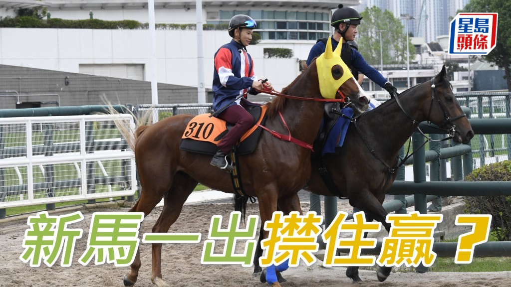 周俊樂女友未來外父新血登場  「㩒住贏」一出即拼？