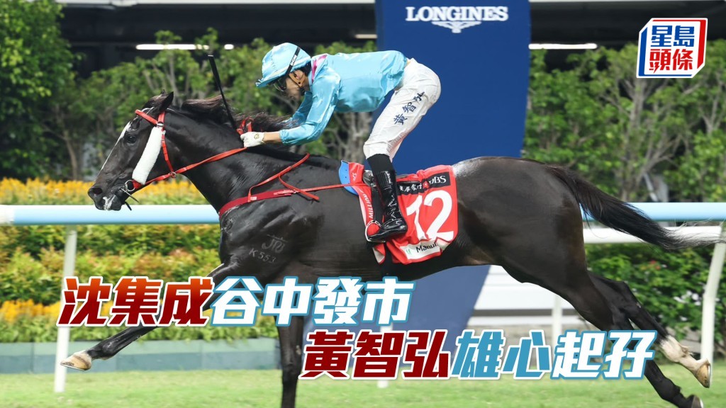 沈集成谷中發市 黃智弘「雄心」起孖