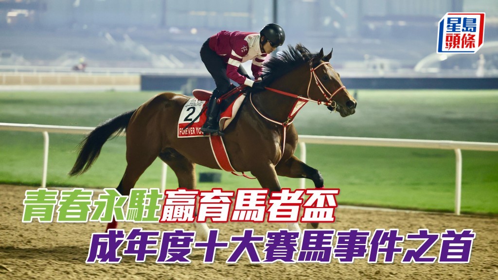 「青春永驻」赢出美国全年最重要的育马者杯经典大赛，写下日本赛马史上光辉一页。