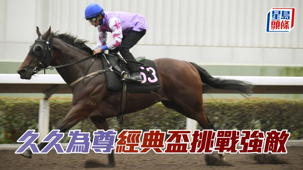 「久久為尊」香港經典盃挑戰一眾強敵。