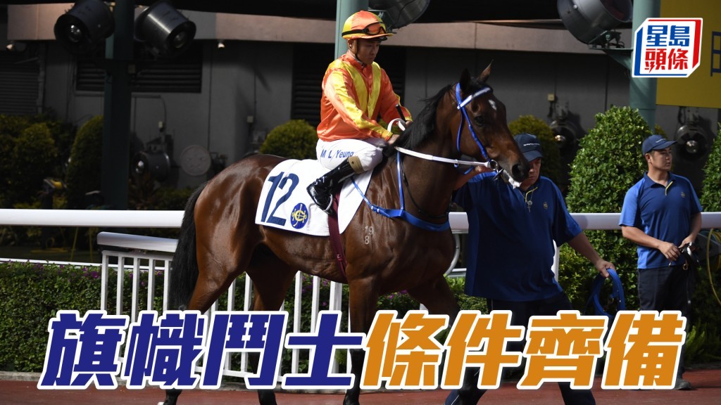 「旗幟鬥士」降入四班兼配曾兩度入位的黃智弘，條件配合可期贏馬。
