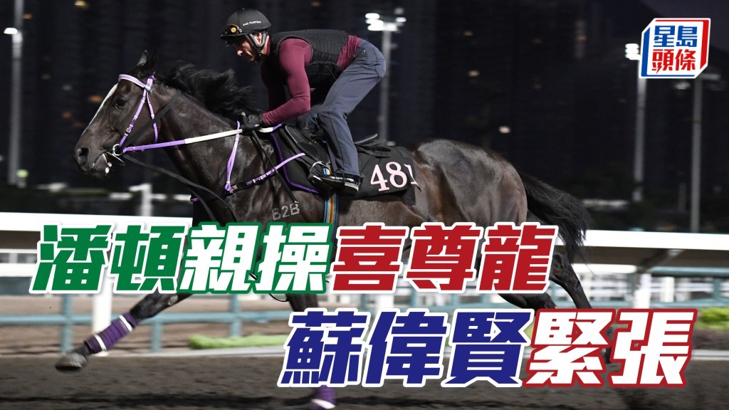 潘頓今早親操「喜尊龍」 倉主蘇偉賢緊張