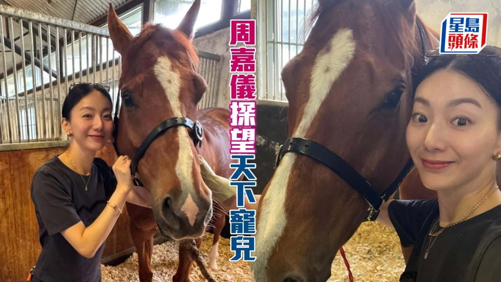 周嘉儀賽前探望「天下寵兒」