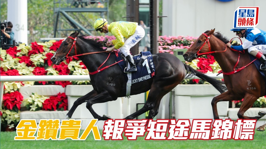 「金鑽貴人」已報名角逐9月28日星期日，在日本中山競馬場舉行的一級賽短途馬錦標。