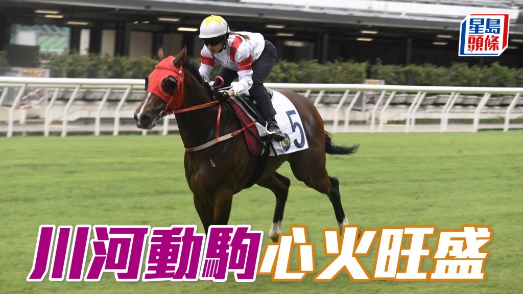 「川河動駒」近日出試時神態回旺，狀態在上佳水準。
