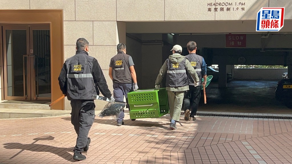 漁護署人員奉召到場。楊偉亨攝