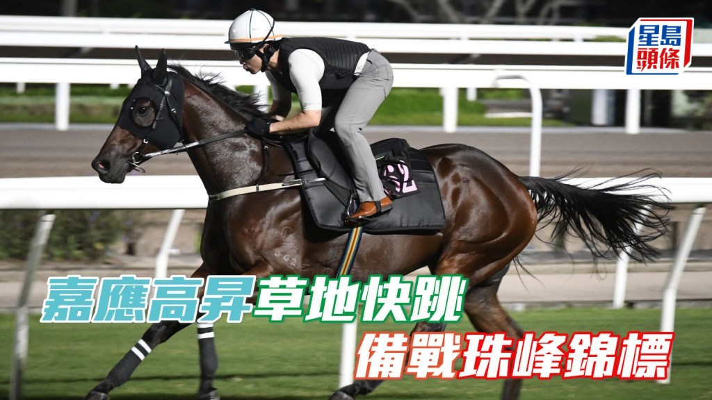馬會今晨開草地跑道予「嘉應高昇」(圖) 作備戰，希斯全程監督。