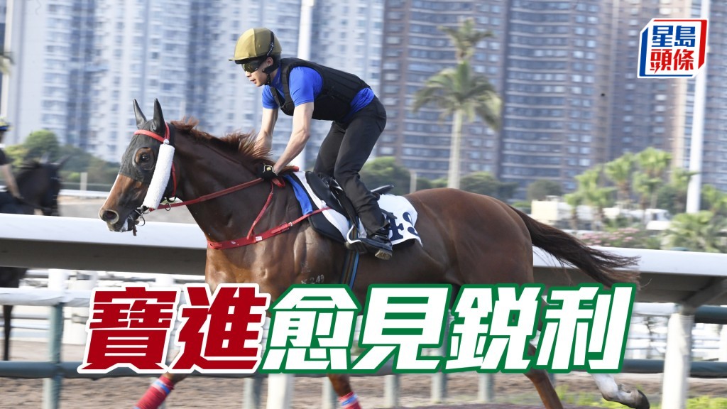「寶進」動作流暢平衡力好，馬身結實毛色悅目。