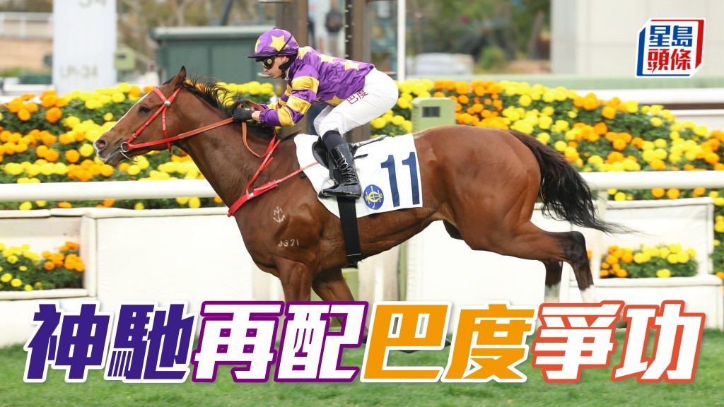 出爭第二班千二米的蔡廐「神馳」馬主是資深馬主榮智健，此馬上季曾經配巴度贏馬，人馬合拍。