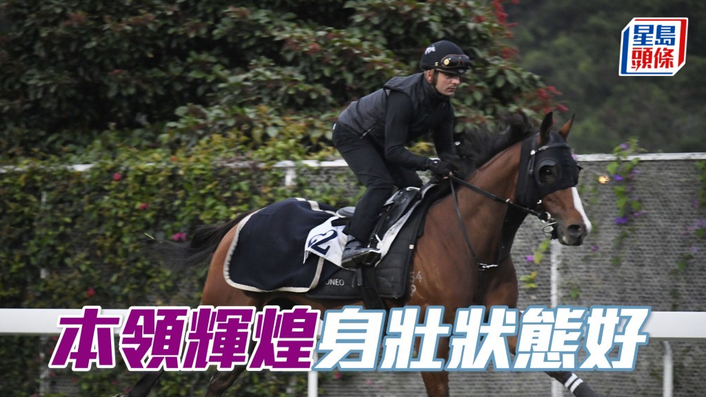 「本領輝煌」展步流暢神態暢旺。
