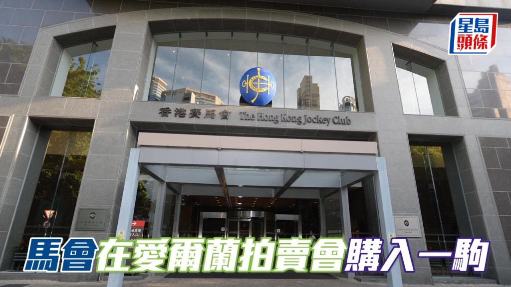香港賽馬會最近在愛爾蘭Goffs Orby拍賣會中，以二十萬歐元（約合一百八十一萬九千港元）購入一匹外型吸引的雄馬。